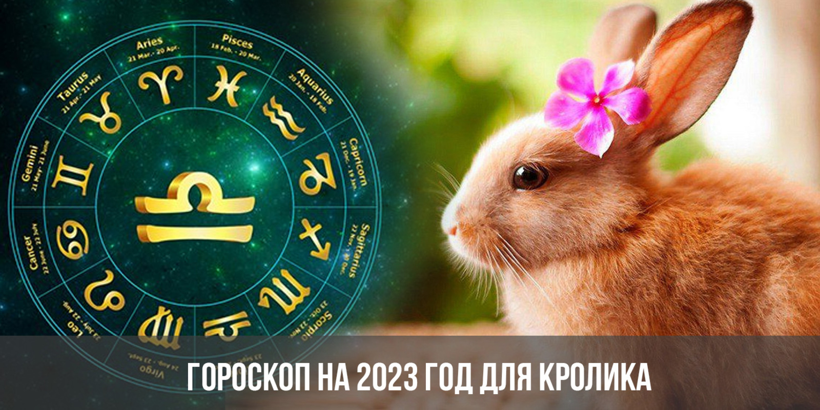 2023 çул – Кролик (хура кушак) çулĕ