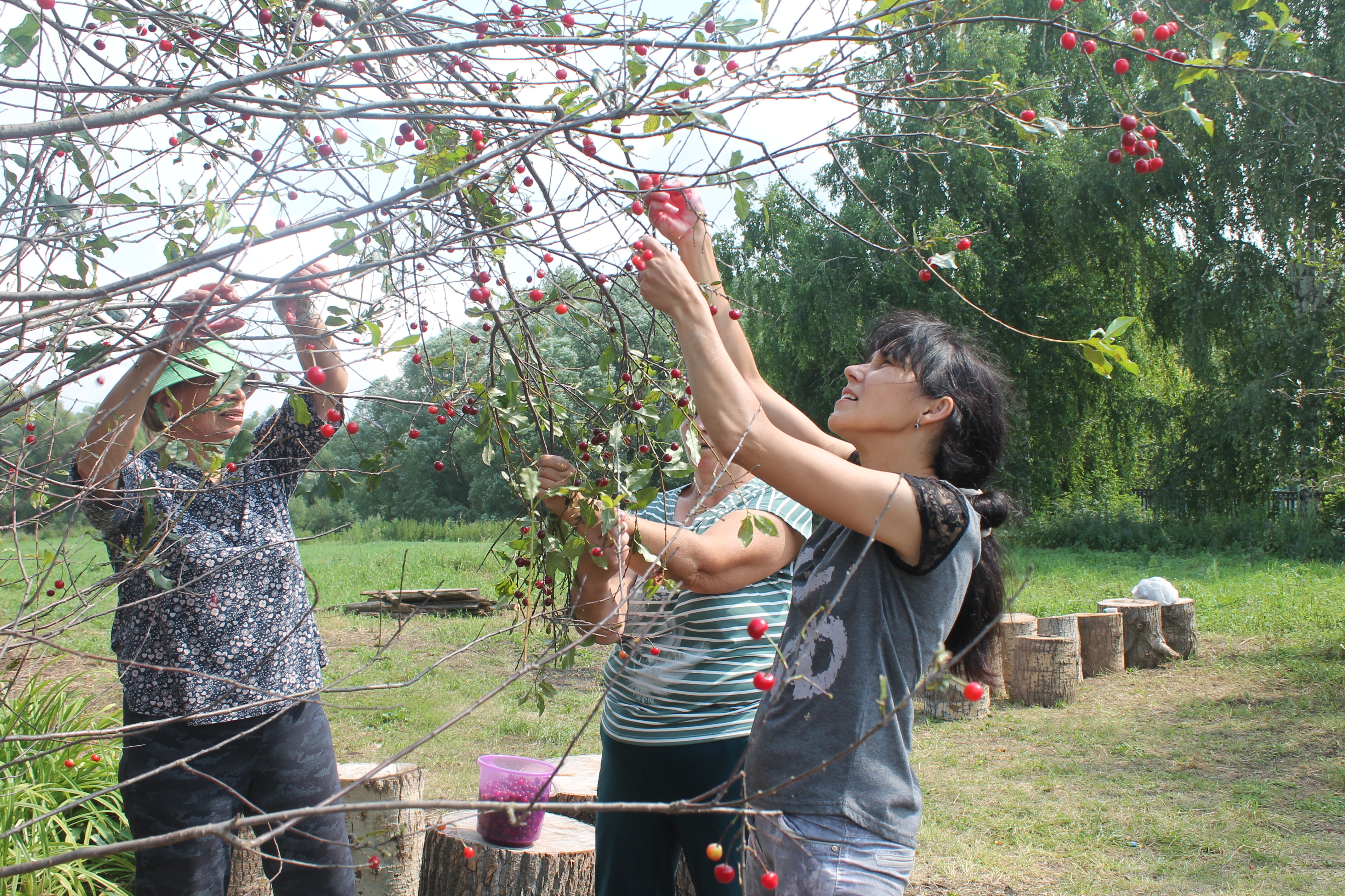 СВО паттăрсем валли – витаминсемпе пуян варени
