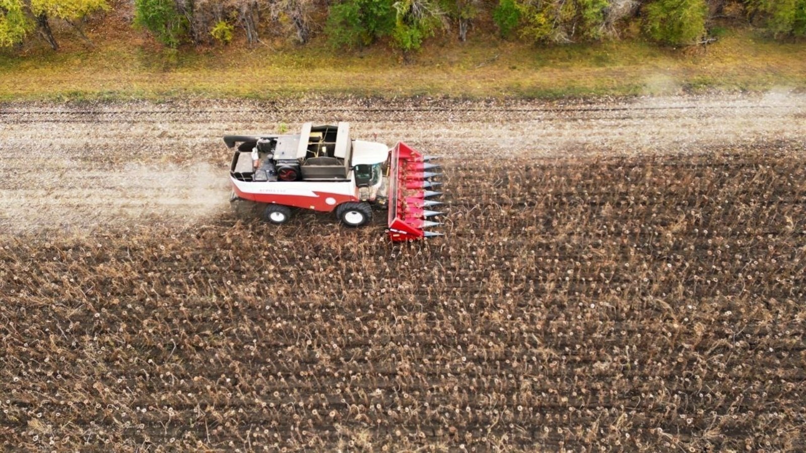 Çу паракан тĕп культурăна пуçтарма пуçланă