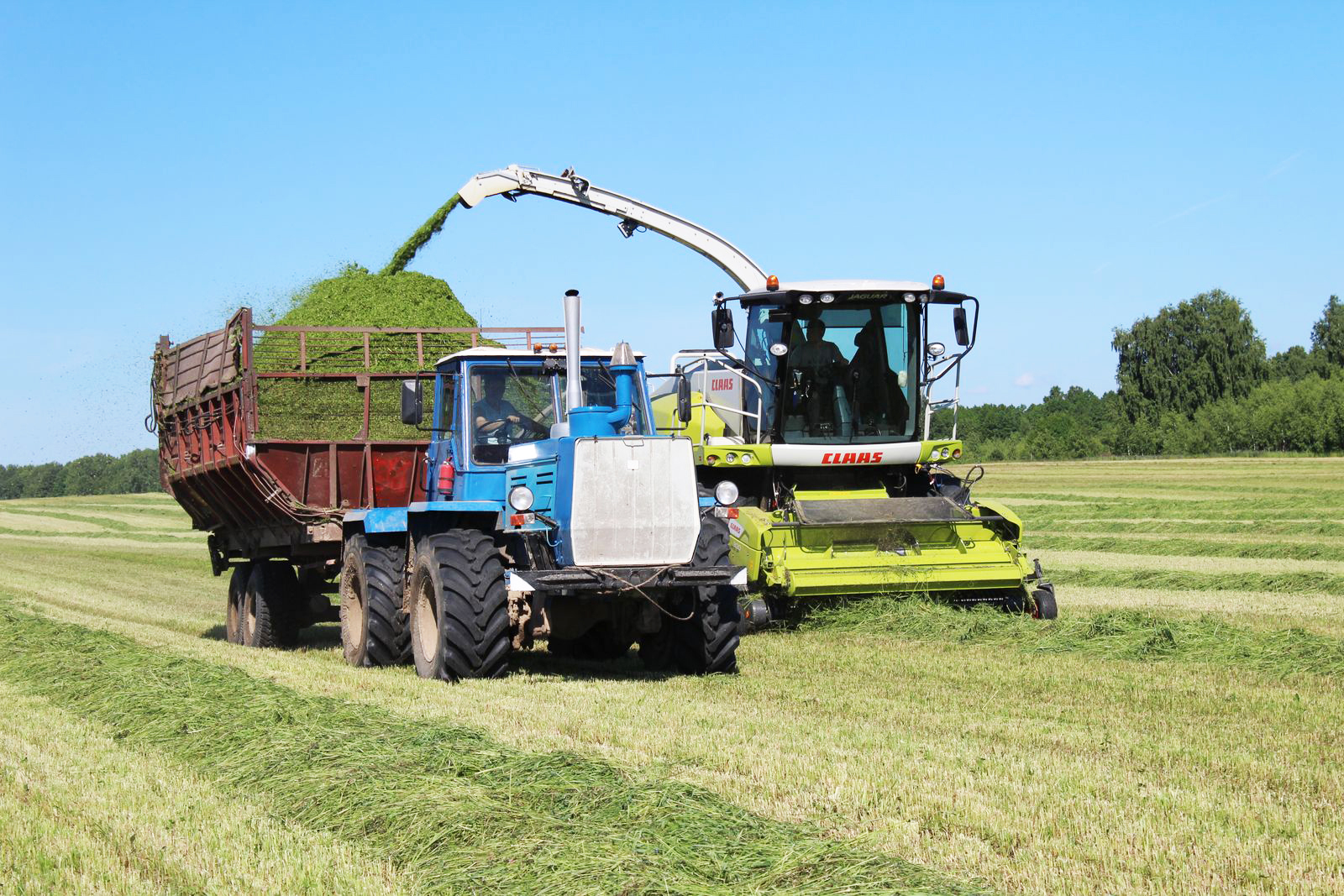 Сĕтеклĕ выльăх апачĕ хатĕрлеççĕ