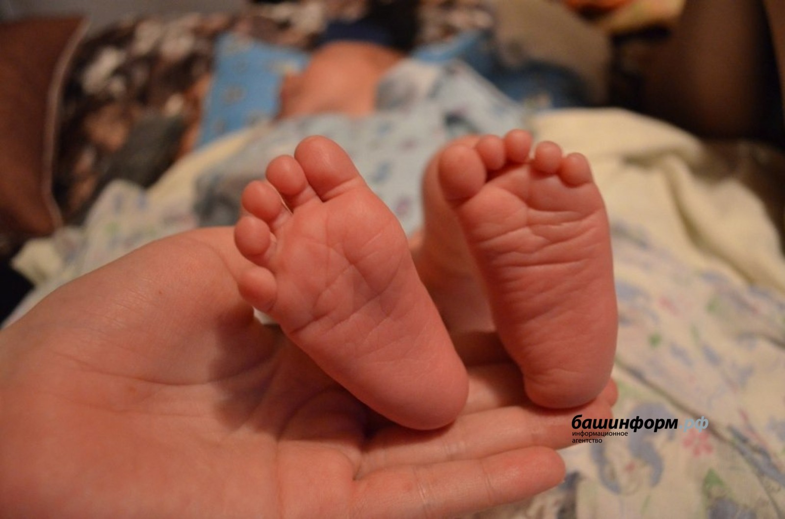 Пушкăртстанра Дантепа Афира çуралнă