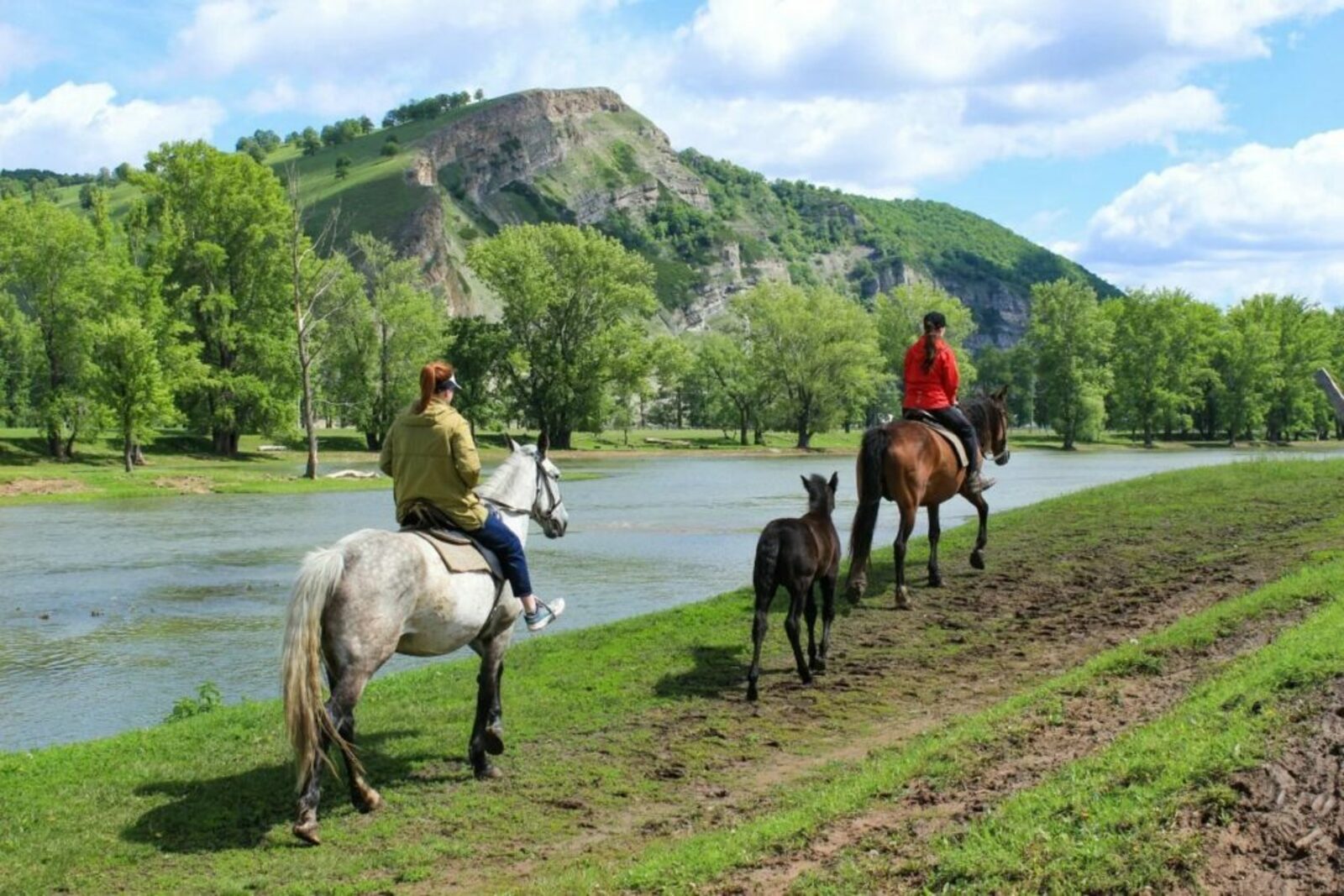 Çул çÿренĕшĕн укçа парĕç