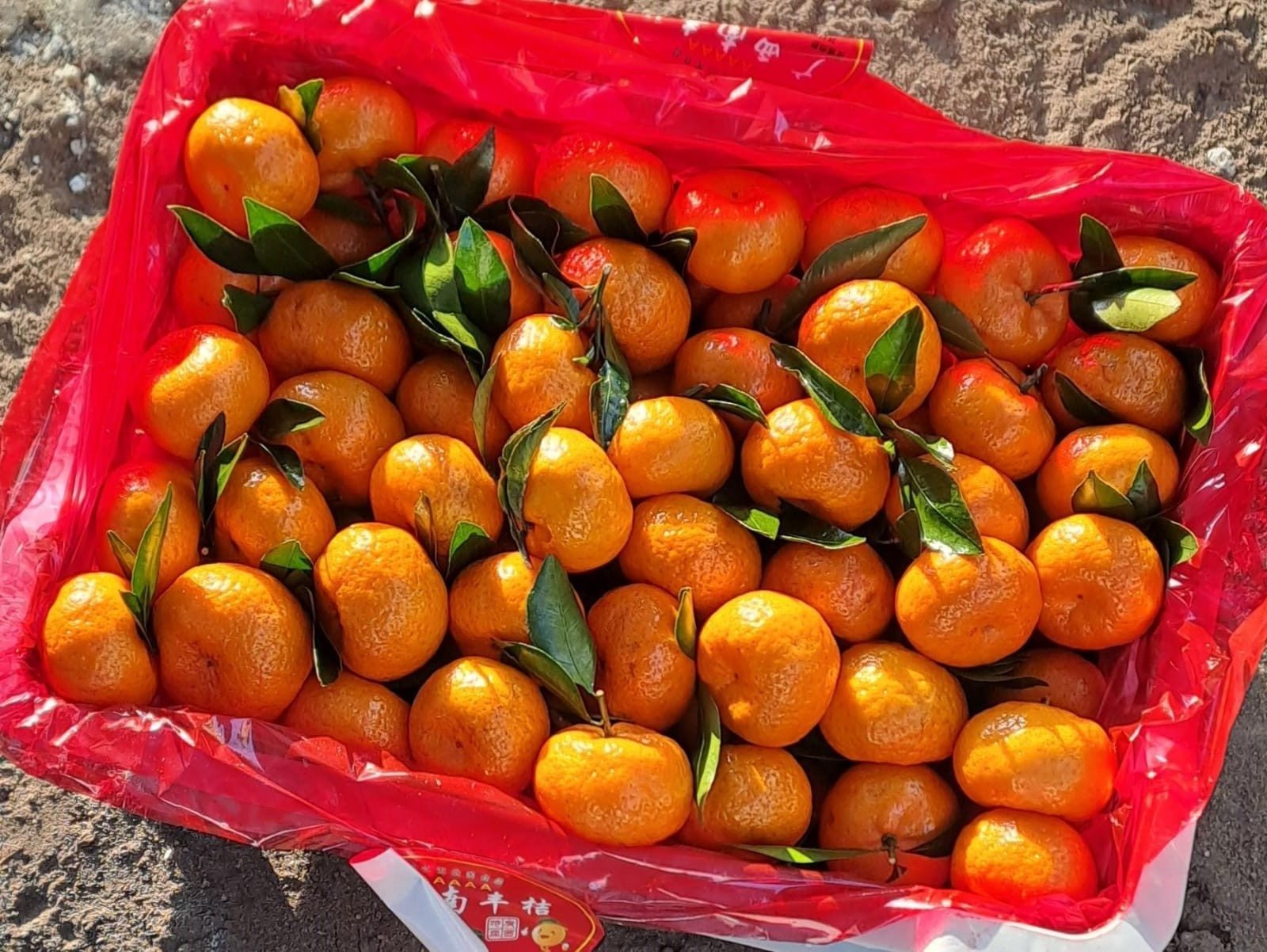 Лавккасен сентрисем çинче - Китайран илсе килнĕ мандаринсем