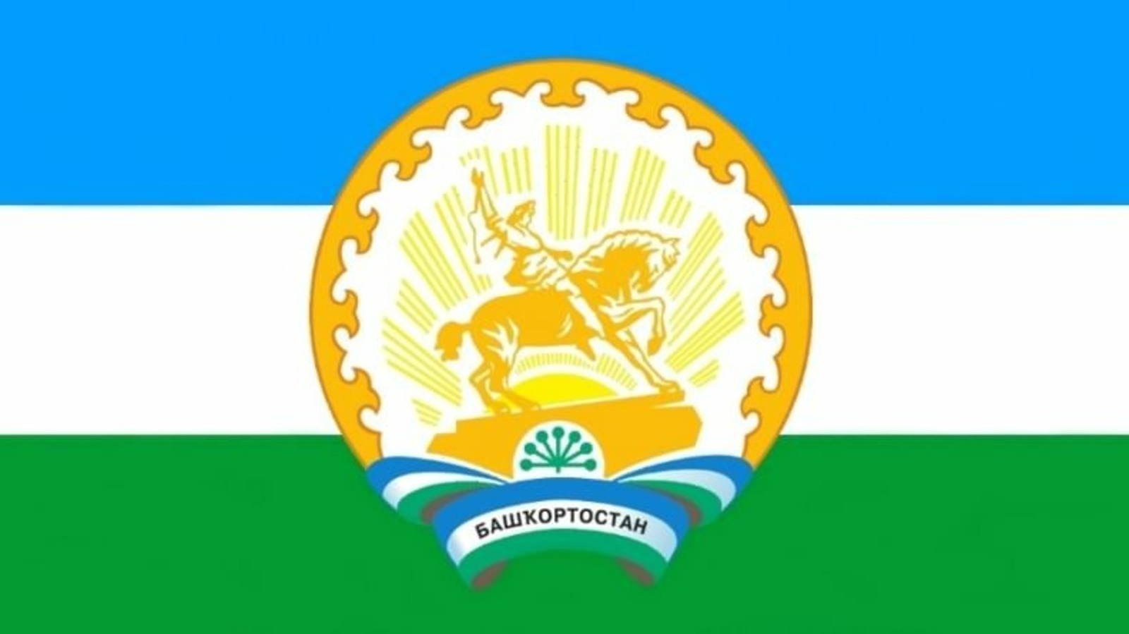 43 муниципаллă район 95 çул тултарнă