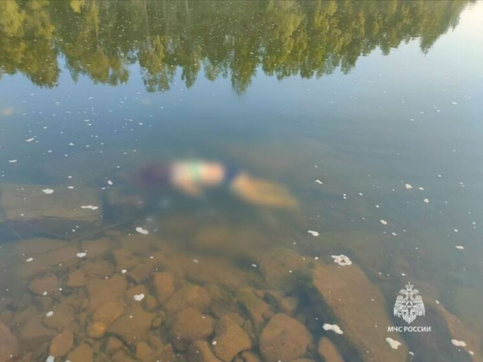 Шывра вилĕм тупнă