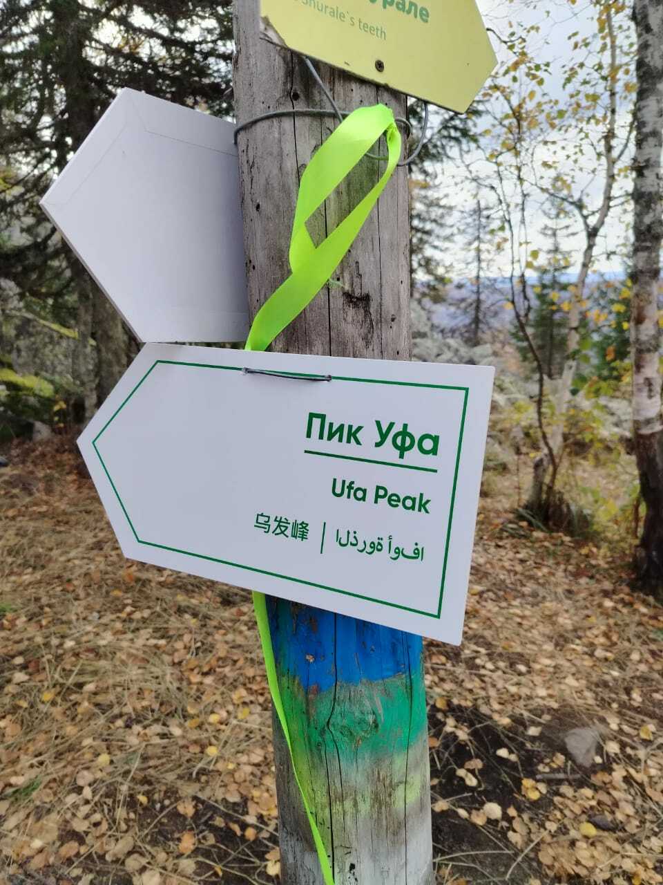 Çамрăк туристсем Иремель тăвĕ çине хăпарма ĕмĕтленеççĕ