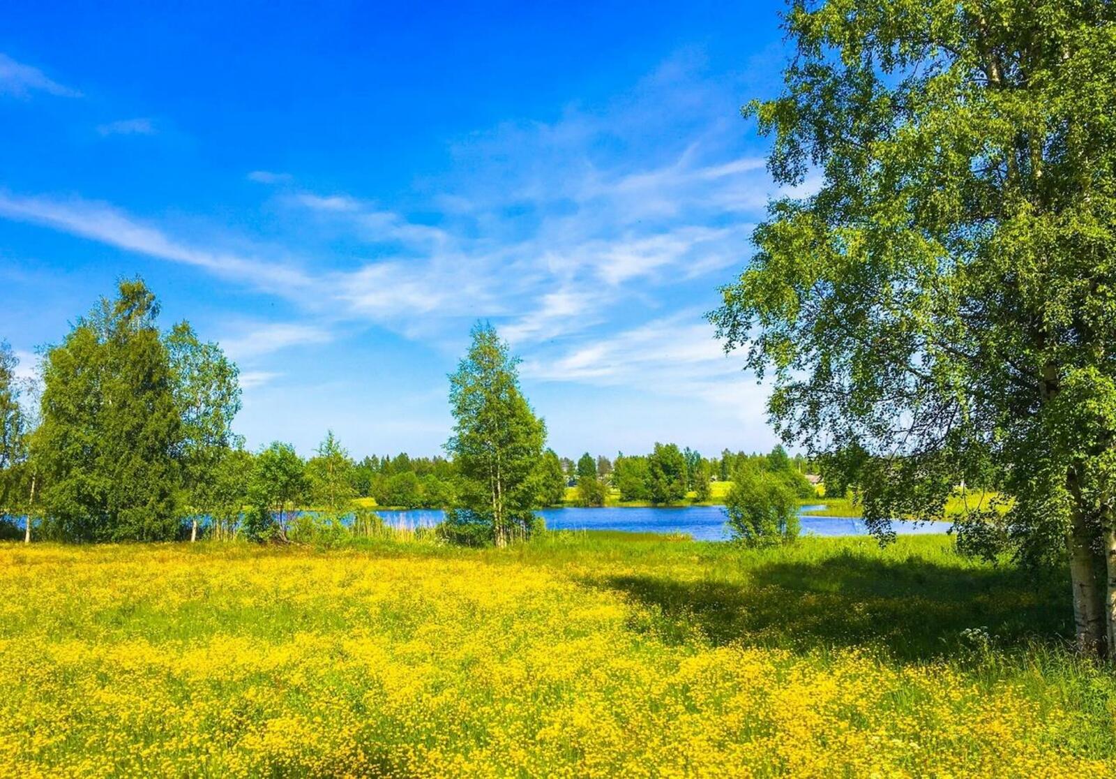 Çуллахи çыру