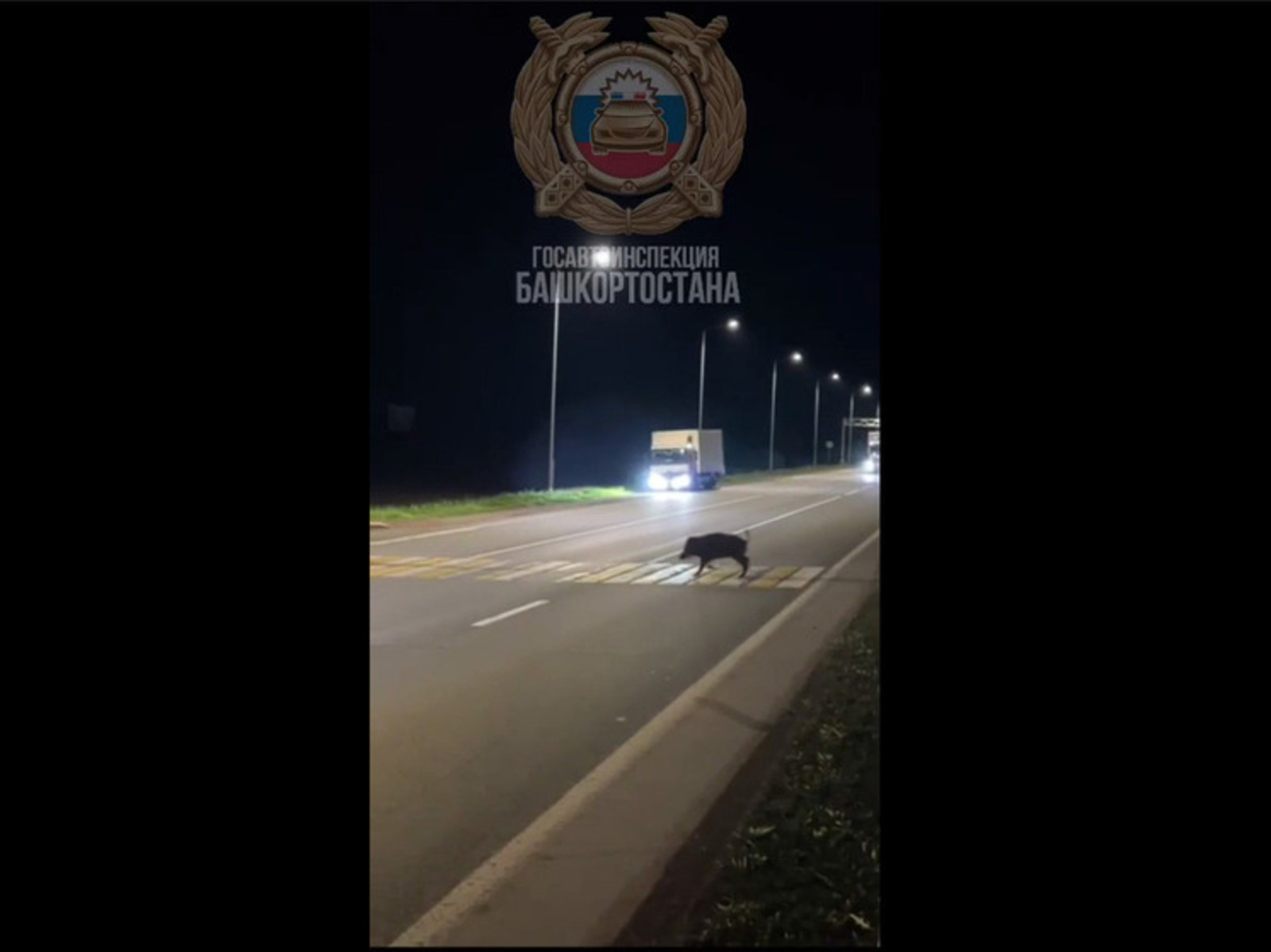 Хир сысни те çул-йĕр правилисене пăхăнать