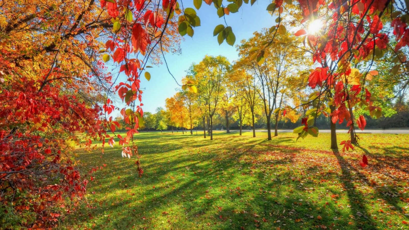 Ан васка, кӗркунне