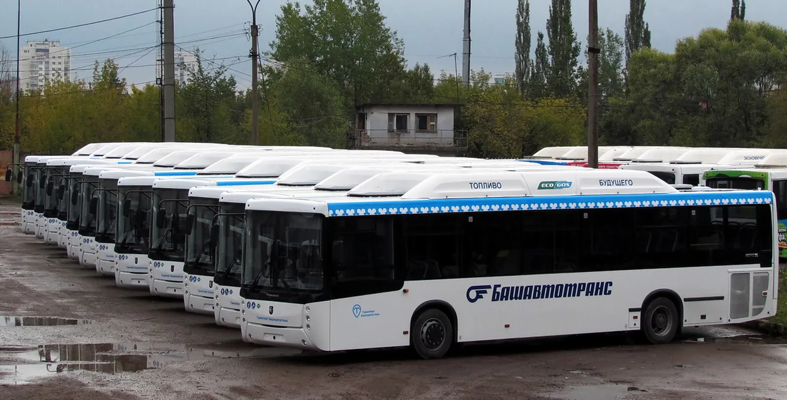 Наци проекчĕпе 83 ҫӗнӗ автобус туянӗҫ