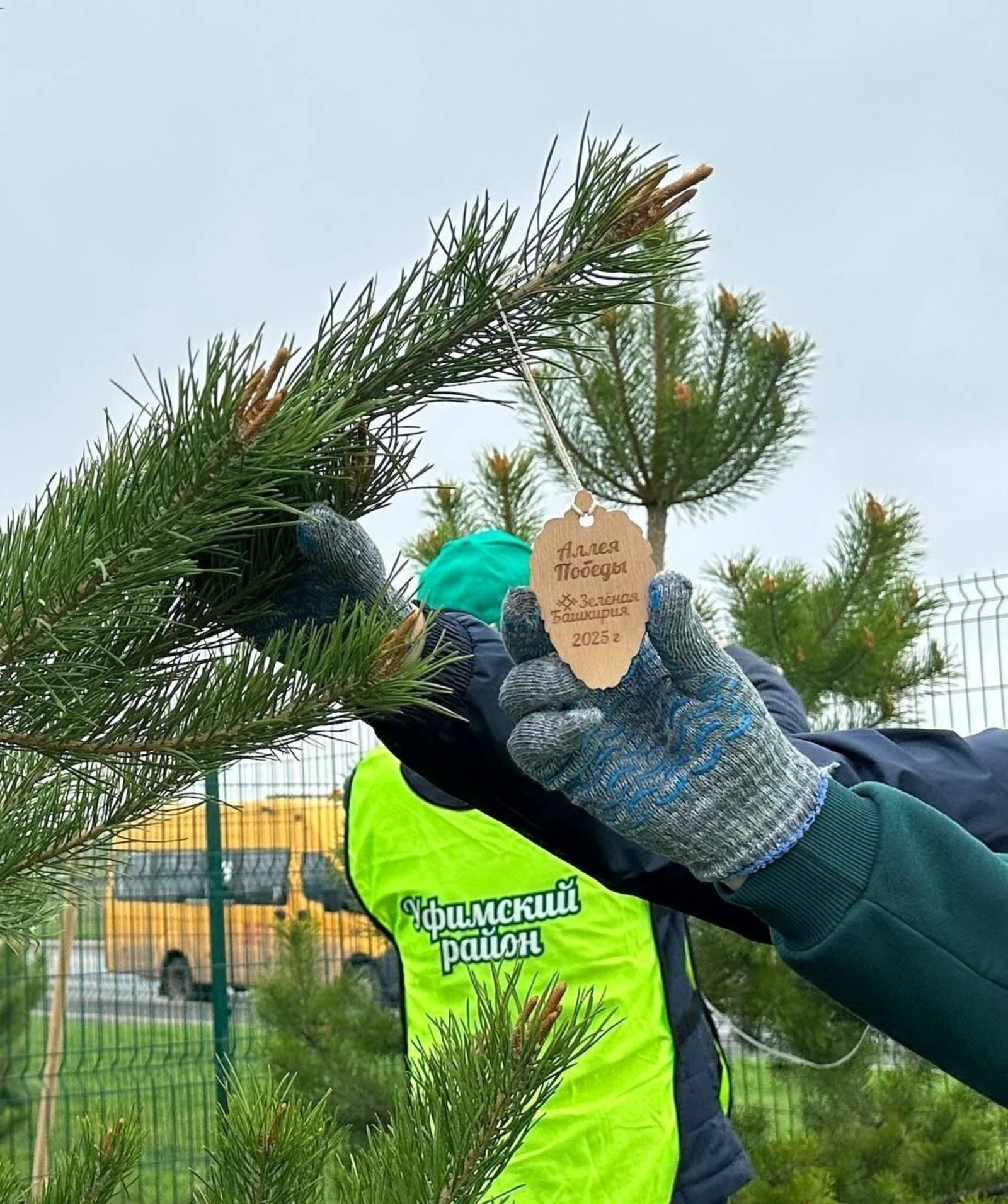 Пушкăртстанра 153 çĕнĕ аллея йĕркеленĕ