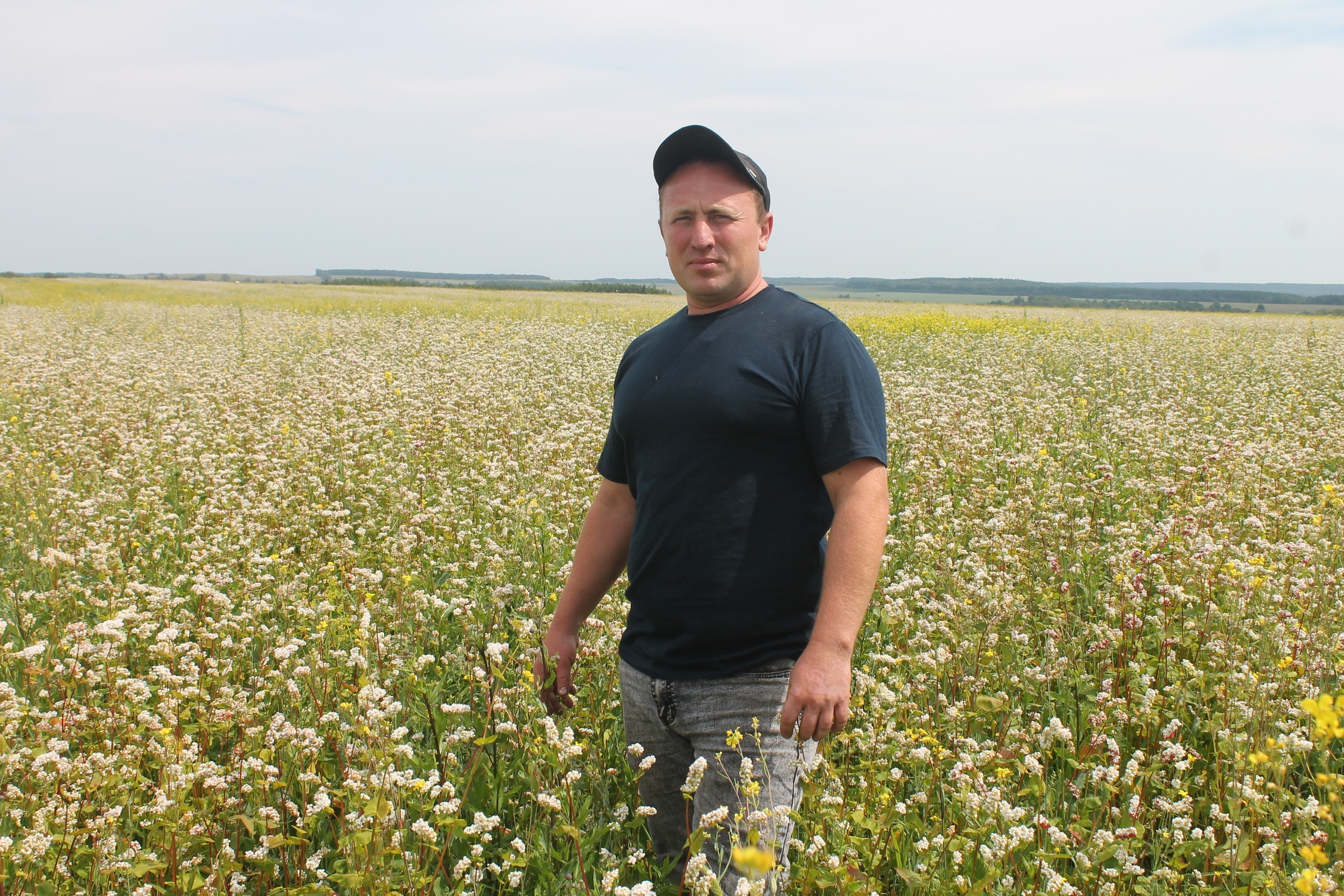 Выльăх апачĕ хатĕрлесси – яваплă та хĕрÿ тапхăр