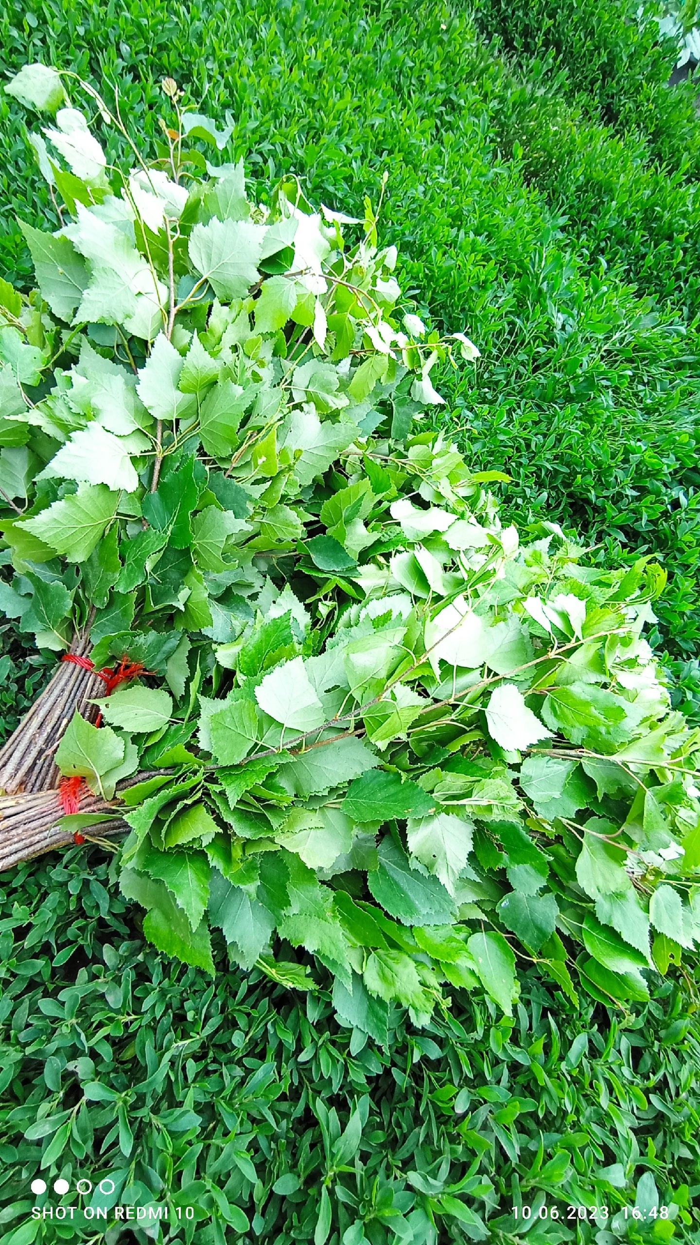 Эсир çапăнма юрататăр-и? Милĕк хатĕрлерĕр-и?