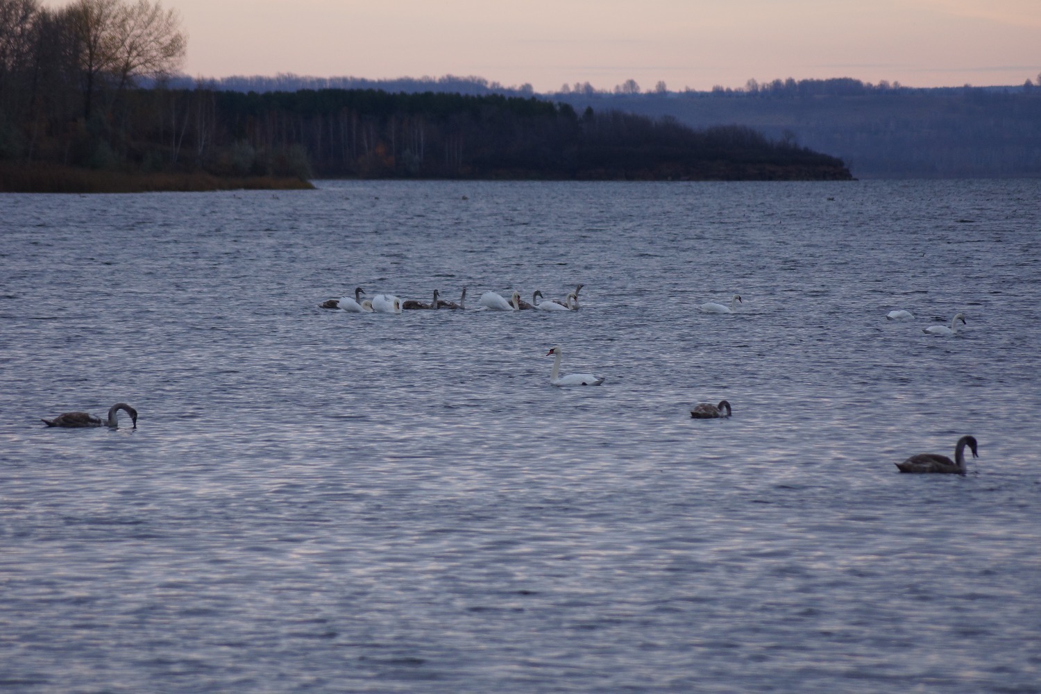 Кÿлĕ хĕрне 500 яхăн акăш вĕçсе аннă