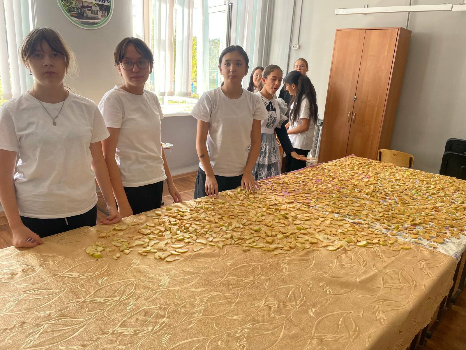 Пан улми турамĕсем ырă кăмăл парнелеччĕр