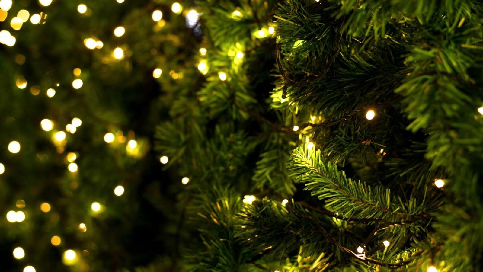 Пушкăртстанра Çĕнĕ çул уявĕсенче пушара хирĕçле режим йышăнĕç