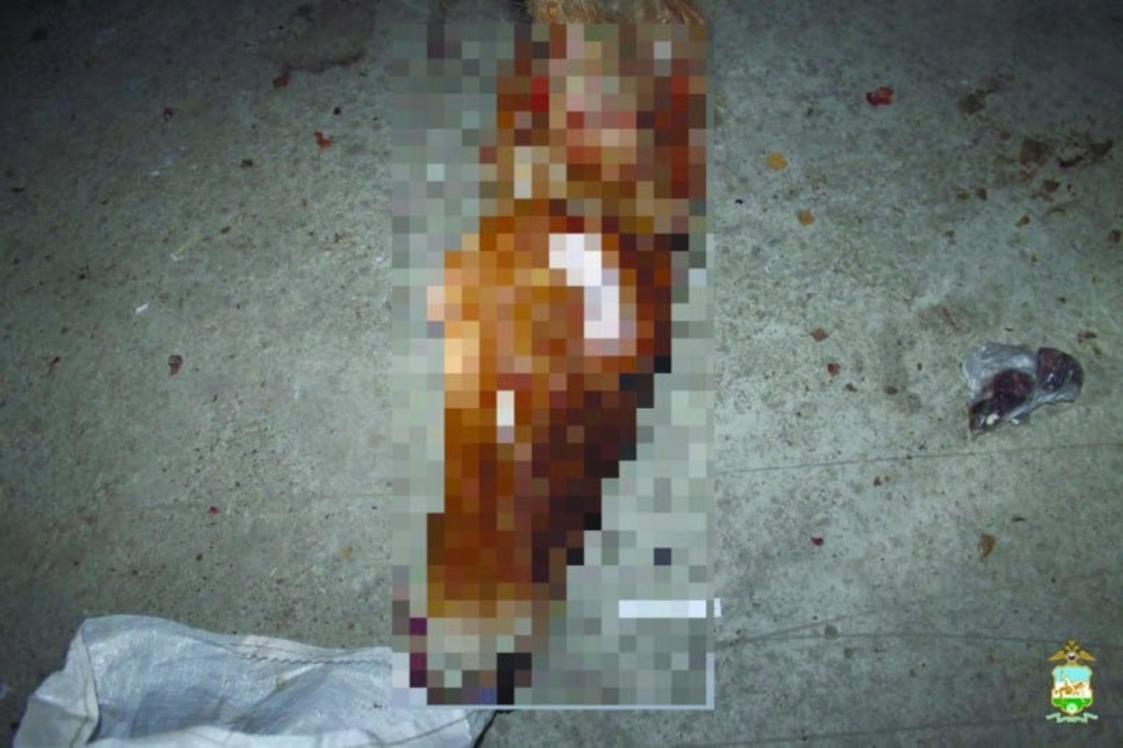 Сунарçăсем ют çын лашине персе вĕлернĕ