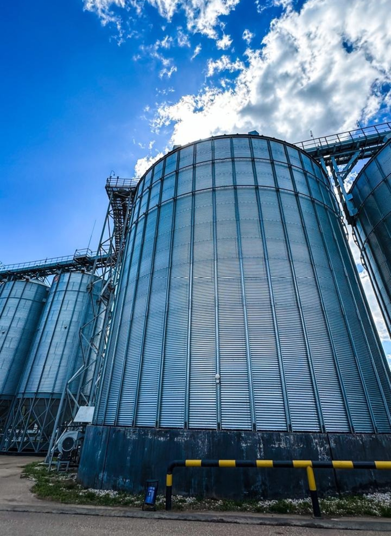 «Башспирт» вырăнти фермерсенчен тырă туянса вĕсене пулăшать