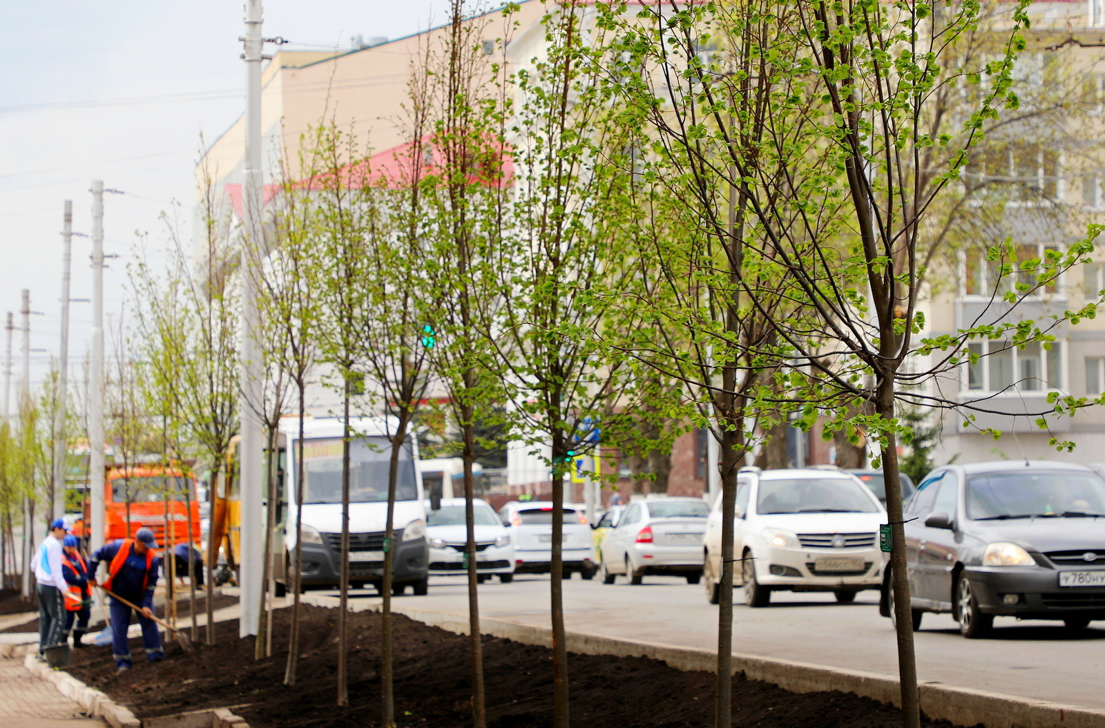 2025 çулта республикăра 1,8 миллион йывăç лартнă