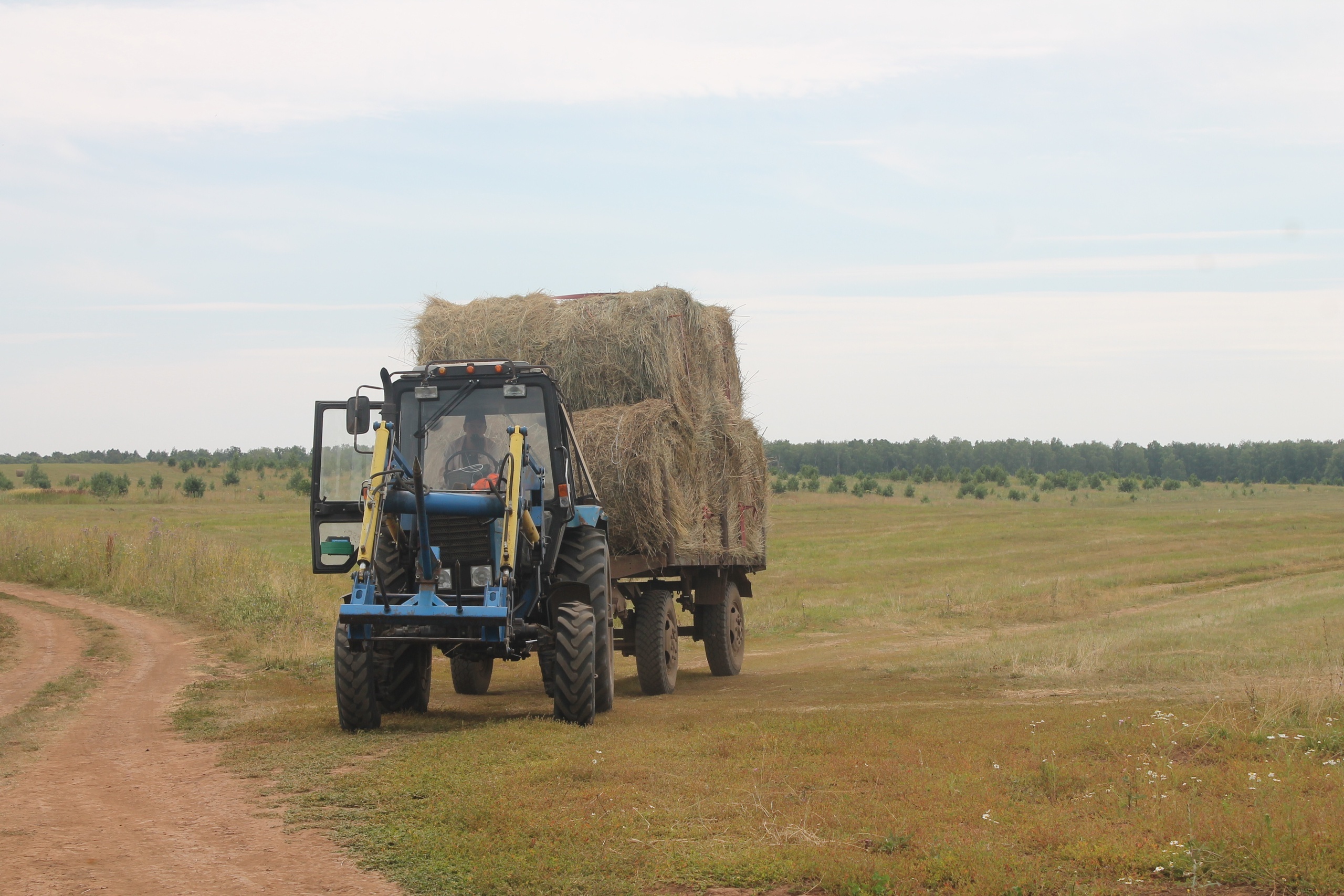 Выльăх апачĕ хатĕрлесси – яваплă та хĕрÿ тапхăр