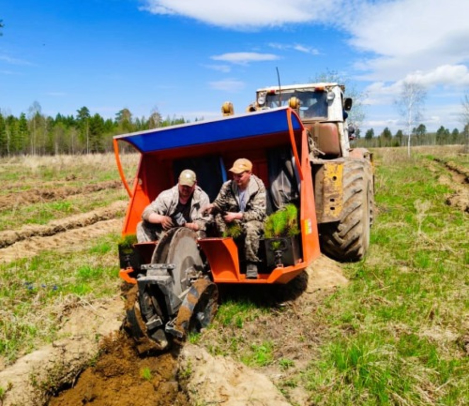 Тăватă пин гектар çинче хунавсем лартнă