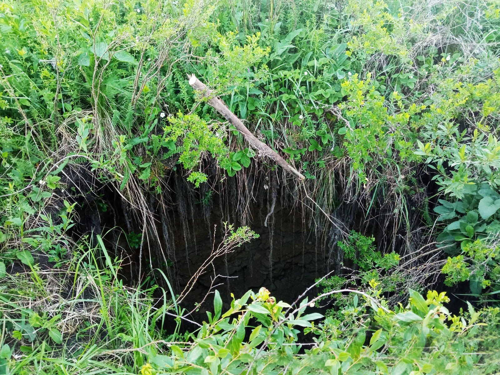 Ăнсăртран тупăннă шăтăк