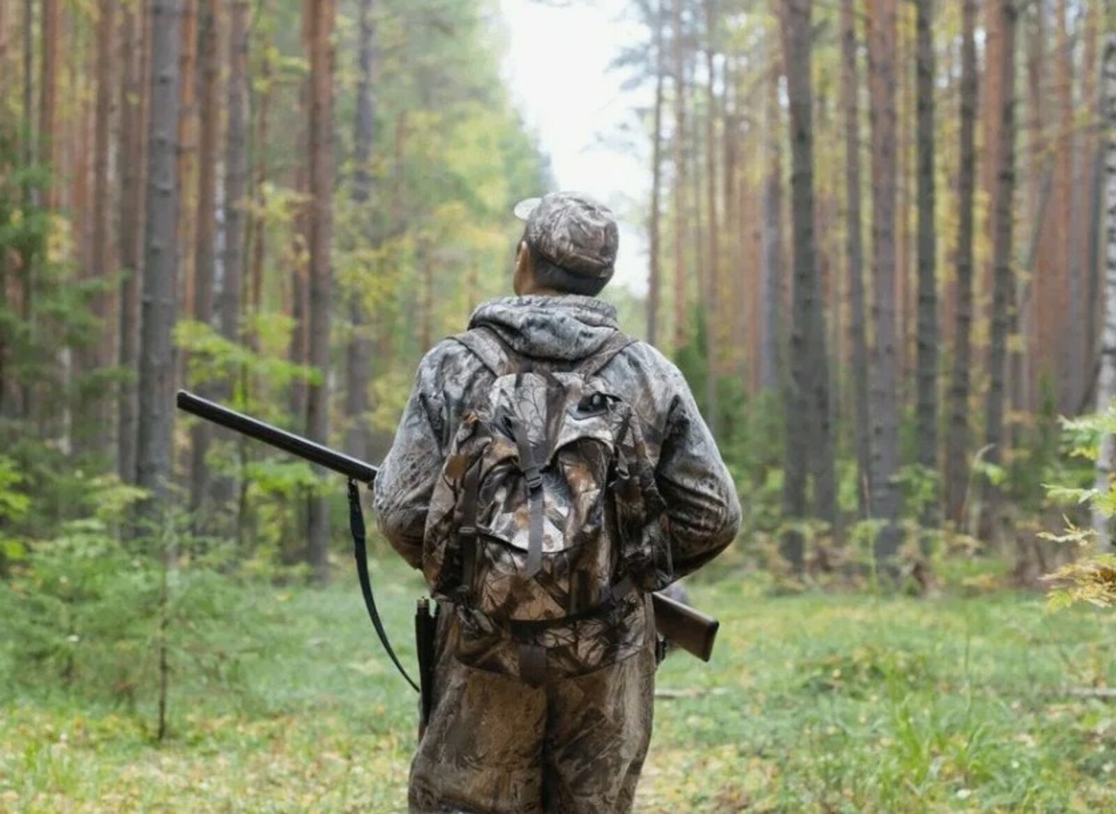 Сунарçăсем  чĕр чунсен биологине вĕренĕç