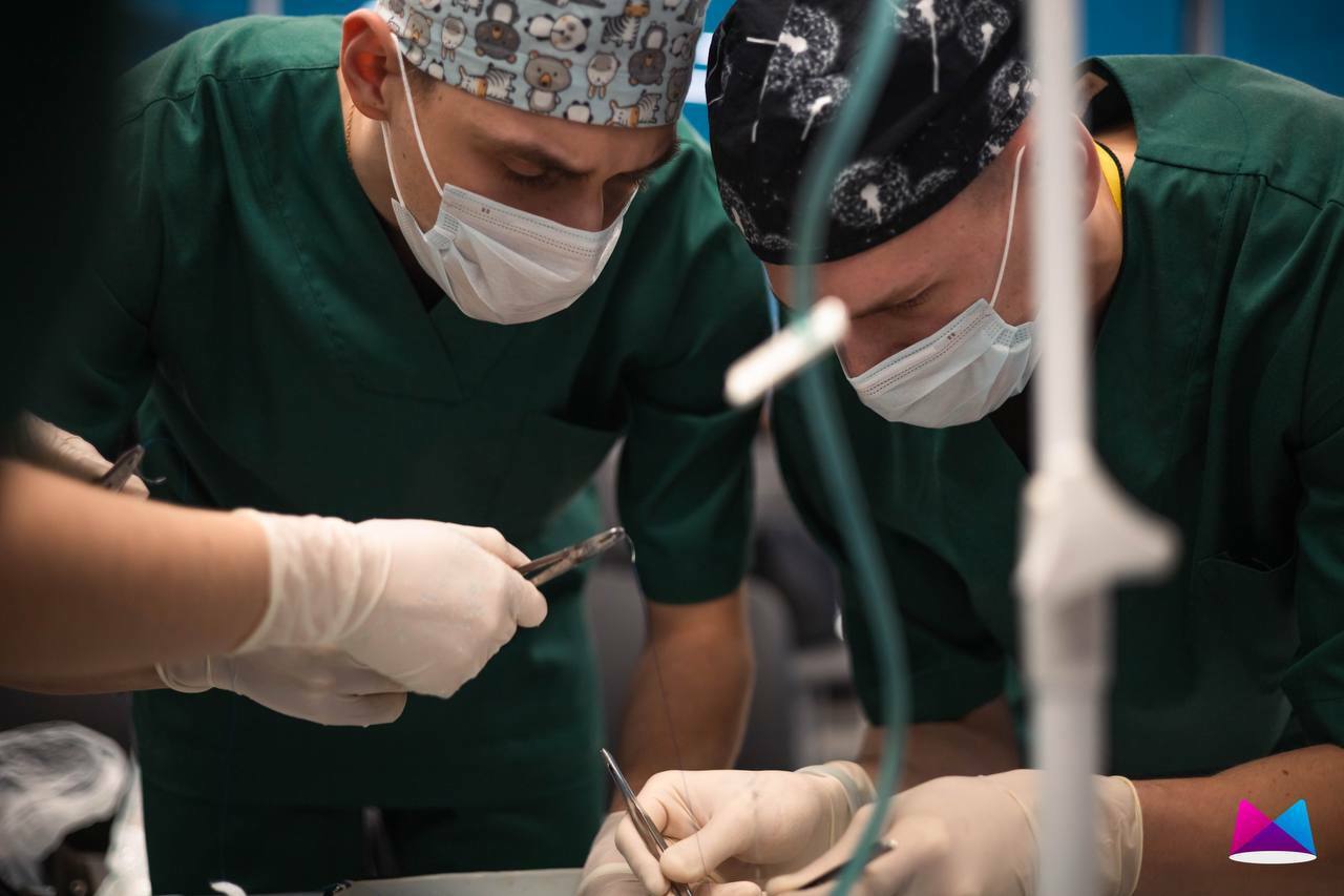 Межвузовский кампус Уфы принял II Евразийский конгресс торакальных хирургов