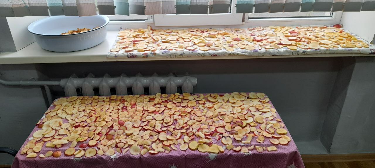 Пан улми турамĕсем ырă кăмăл парнелеччĕр