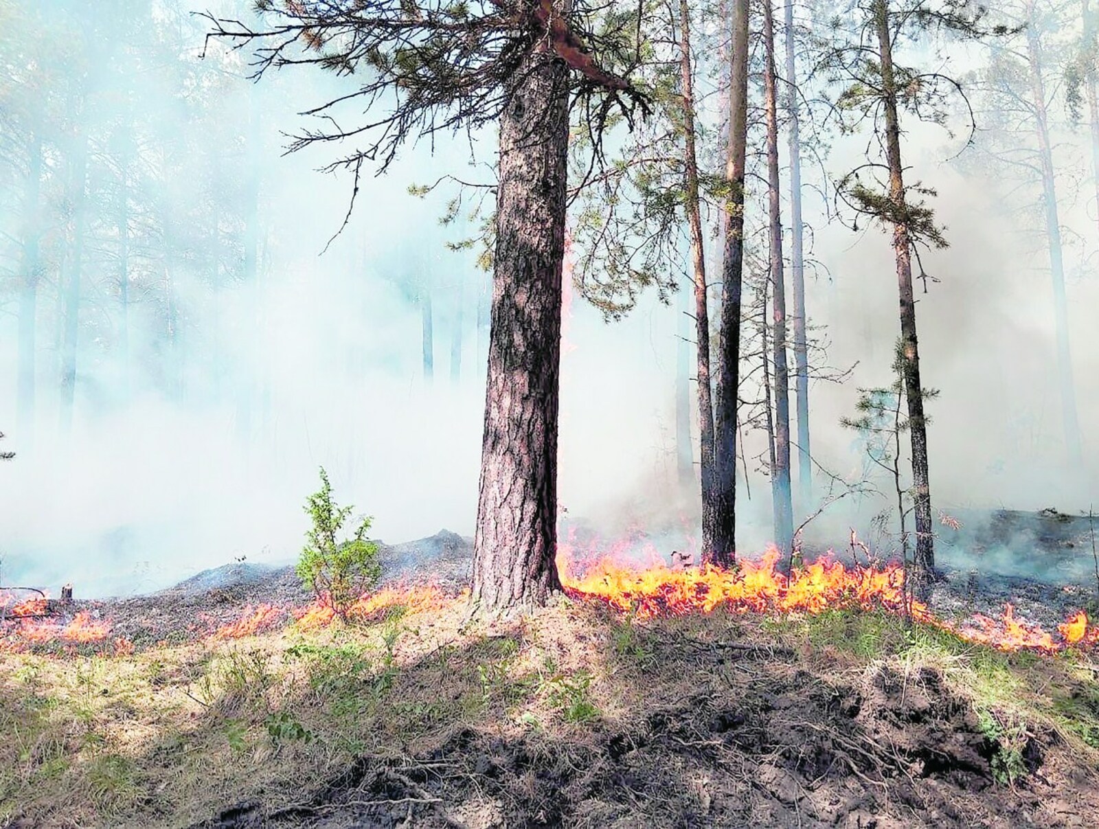 Вут-çулăм алхасма пултаракан тапхăрта  штрафсенчен мĕнле хăтăлмалла?