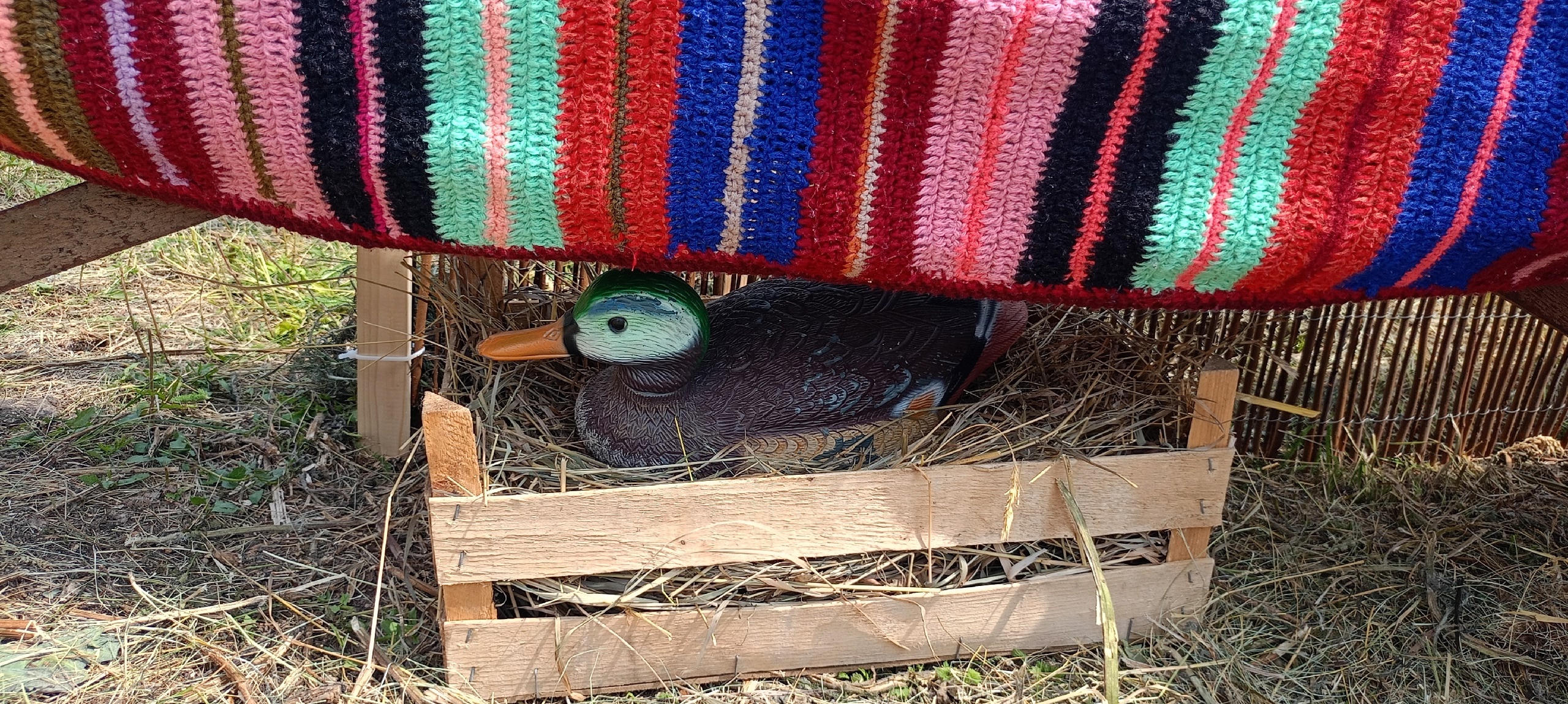 Асавпуç ялĕн çыннисемпе мăнаçланатăп