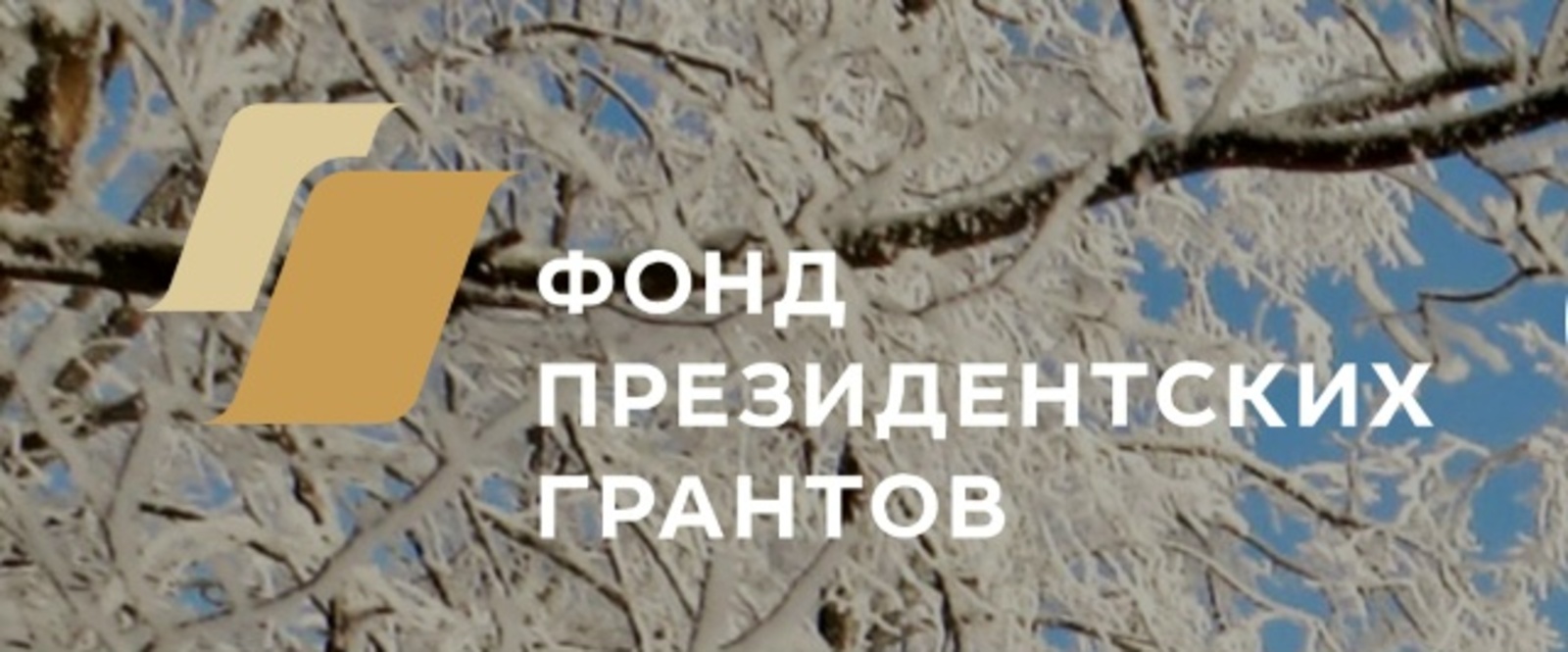НКО Башкортостана приглашают участвовать в конкурсе Фонда президентских грантов
