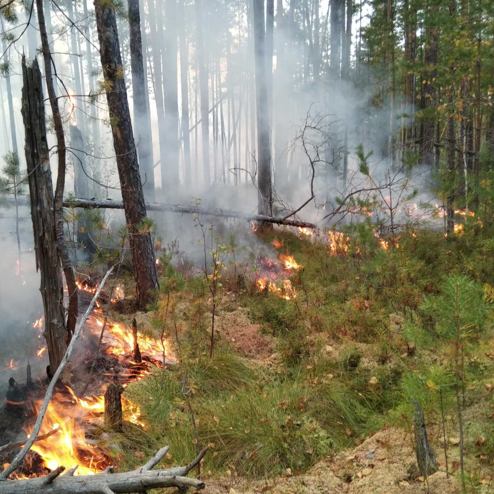 Пушар тухас хăрушлăх ÿсекен сезон пуçланĕ