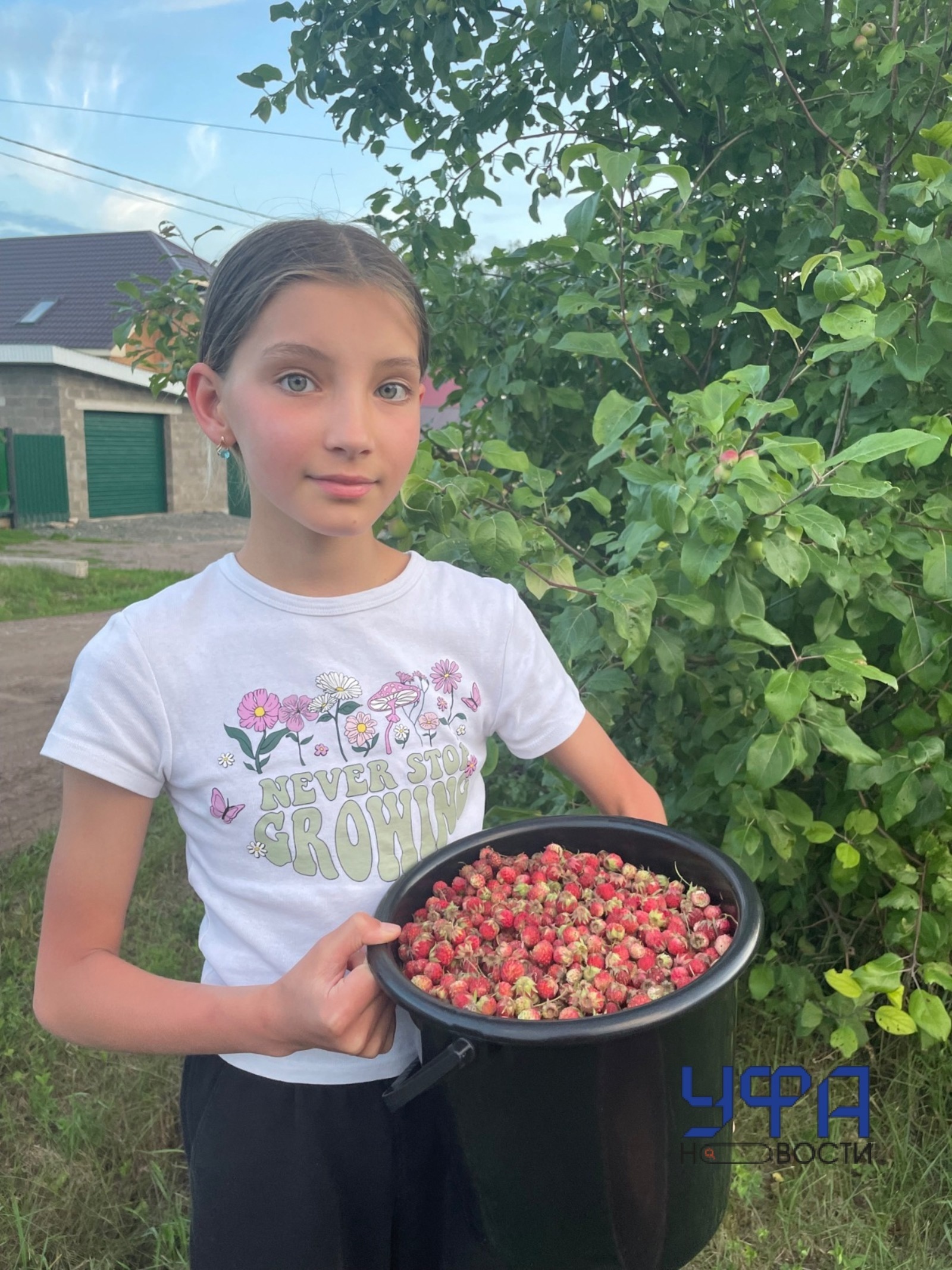 Хӗр ача электросамакат илес тесе ҫӗр çырли пуҫтарать