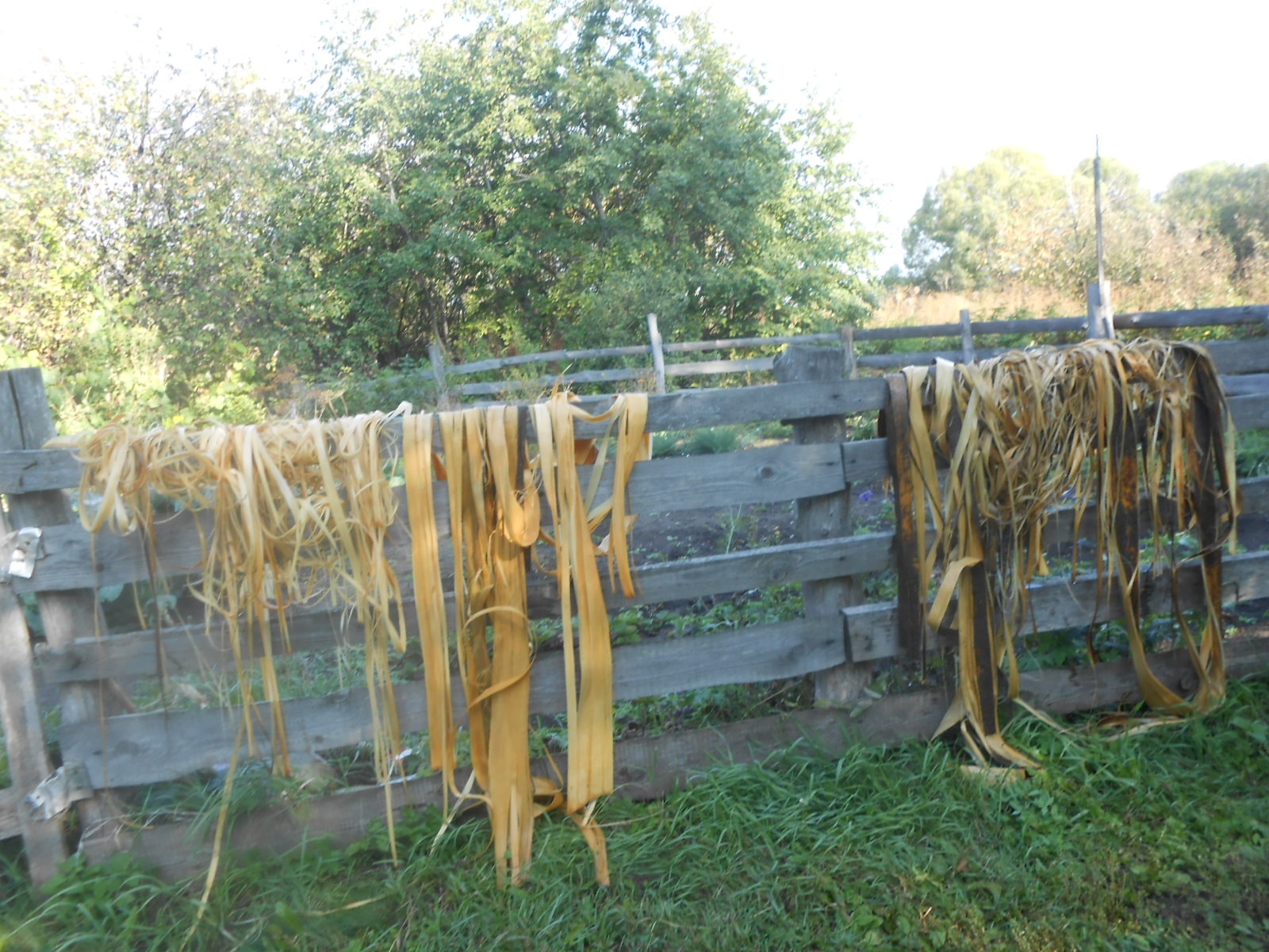 Ольга Федорован аллисене кирек мĕнле ал ĕçĕ те парăнать