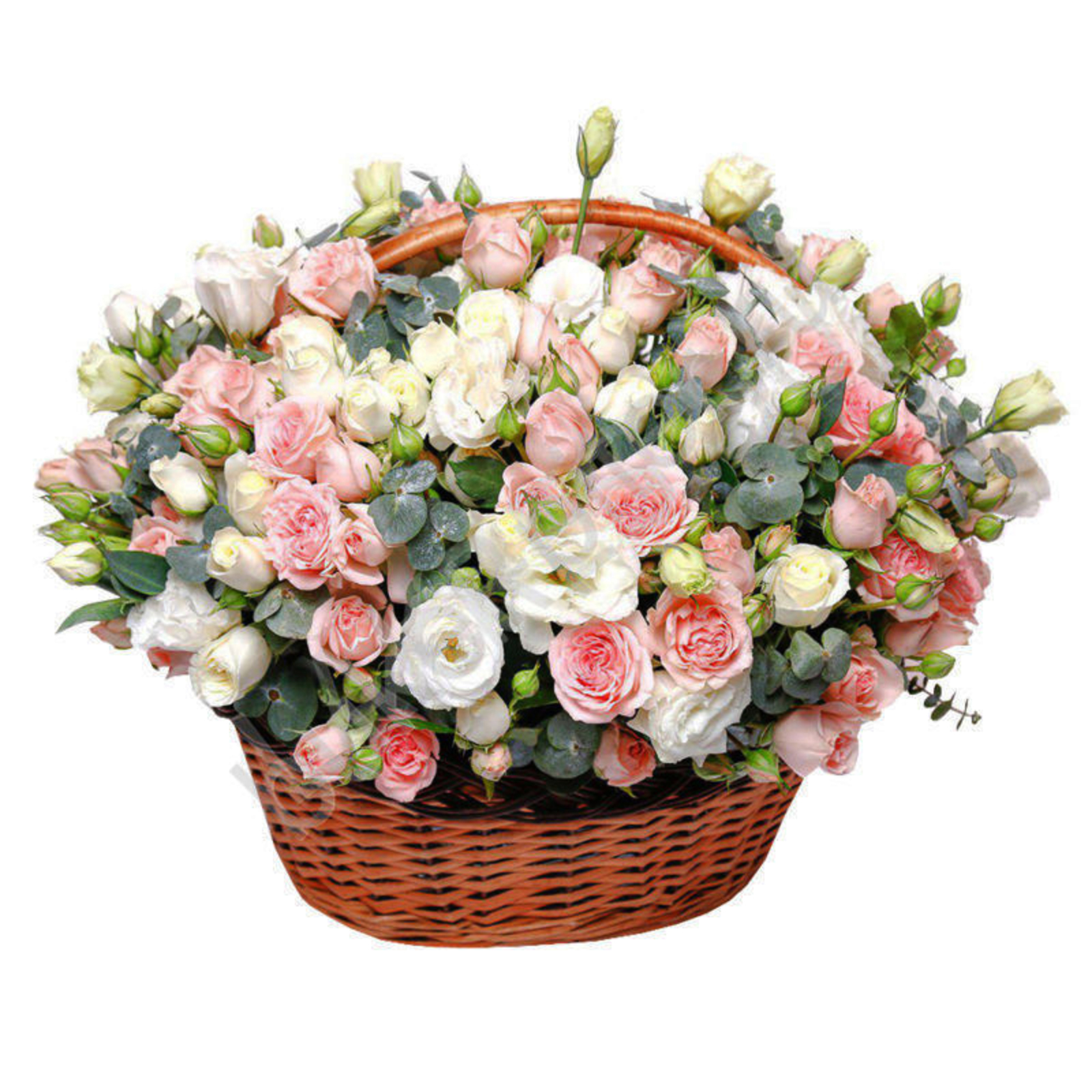 Алексей Александровичпа Галина Николаевна  РОДИОНОВСЕМ