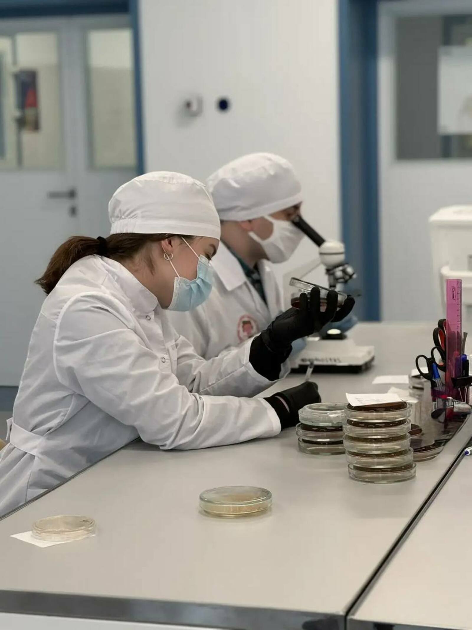 В кампусе создали тест-систему для быстрого поиска «бактерии стройности»