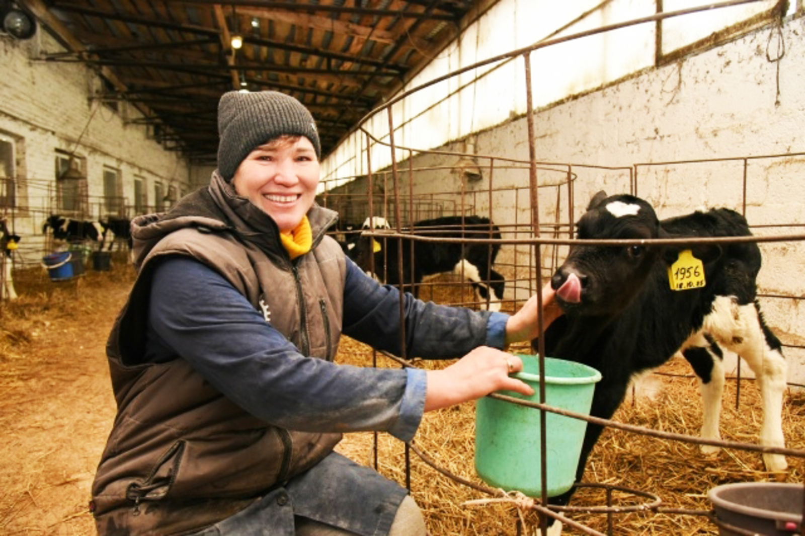 «Пăрусем ачасем пекех вĕт»