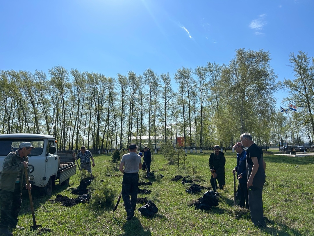 Тирпей-илем хамăртан пуçланать