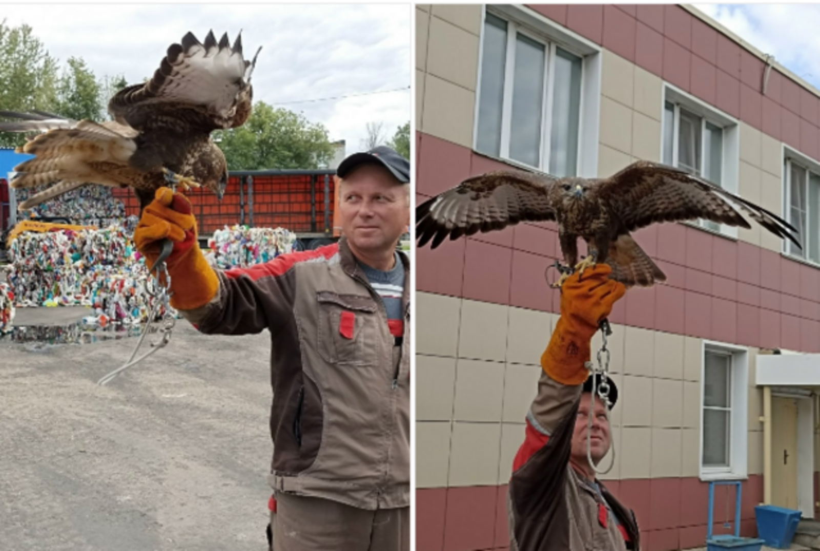 Кайӑксем каяш суйламалли полигонра ӗҫлеҫҫӗ