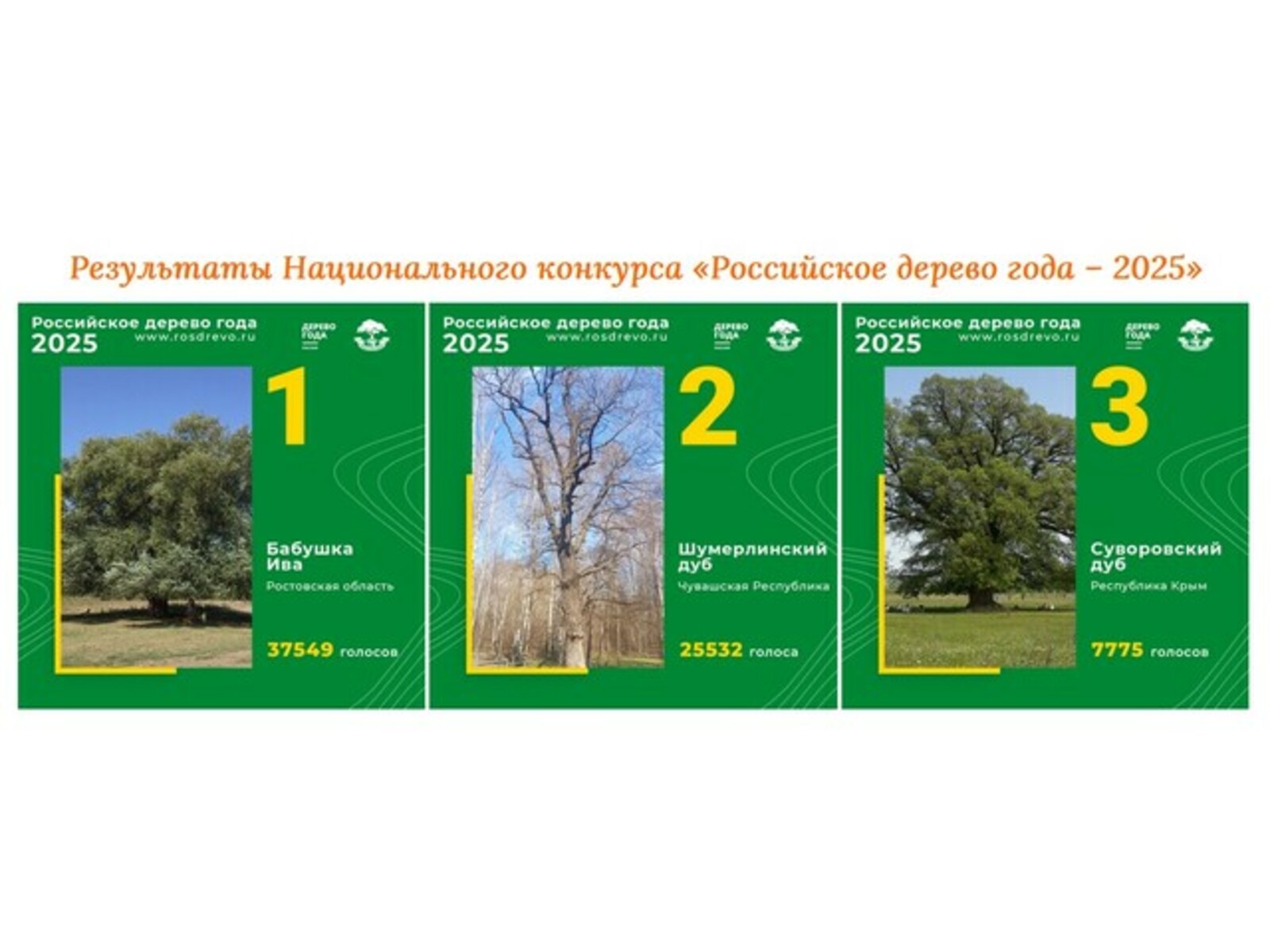 Çĕмĕрлери юман сасăлавра иккĕмĕш вырăна тухнă