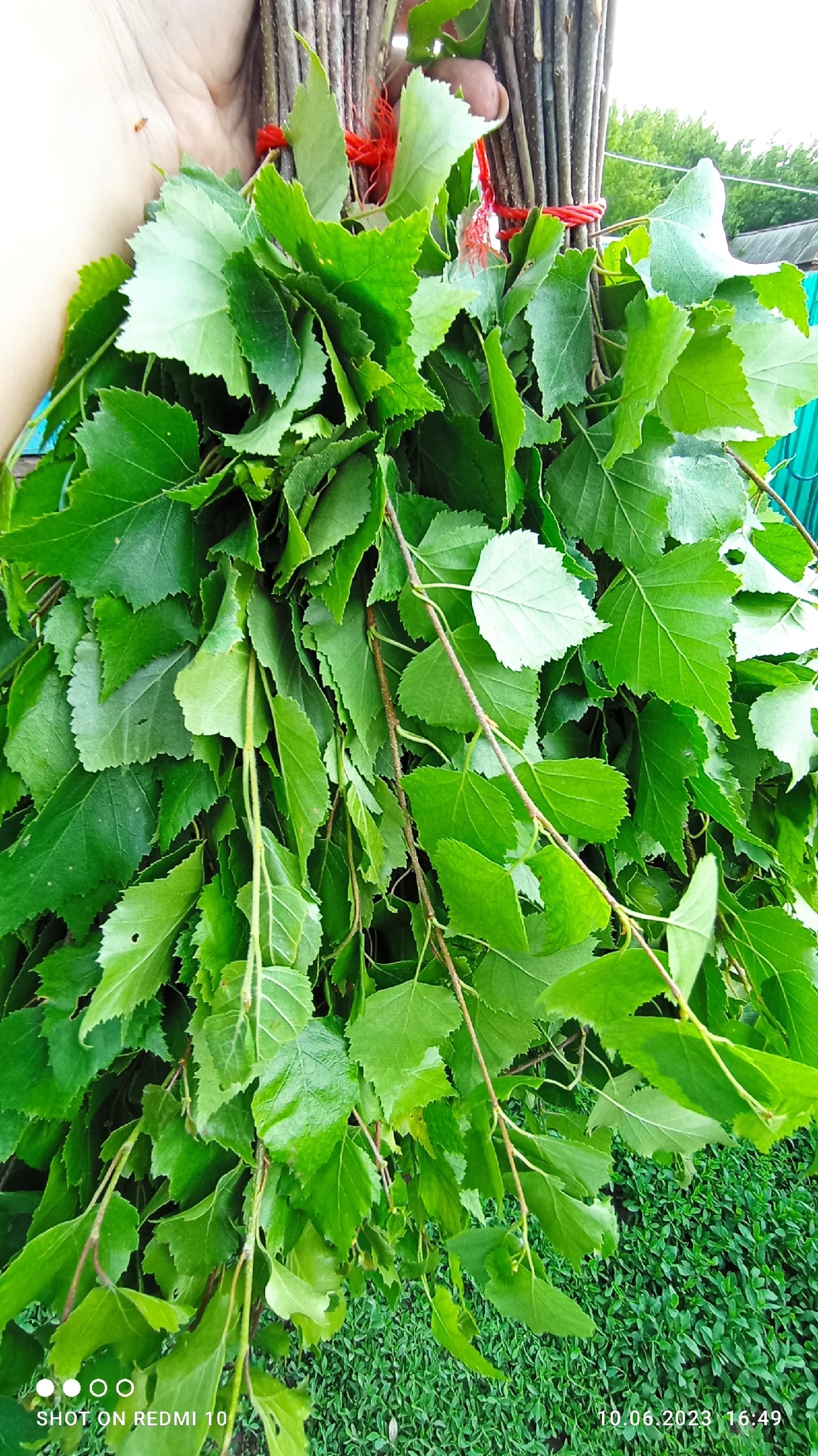 Эсир çапăнма юрататăр-и? Милĕк хатĕрлерĕр-и?