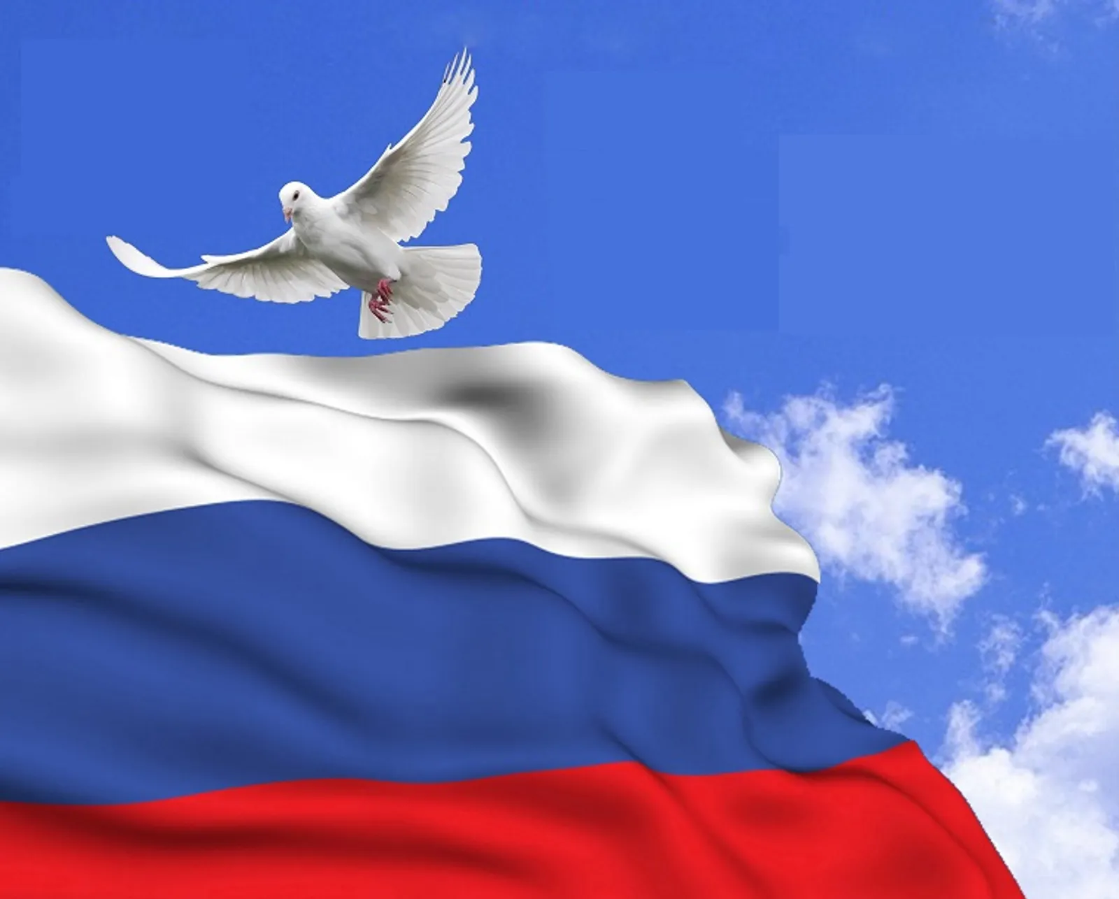 Сегодня отмечаем День России — праздник нашей общей гордости