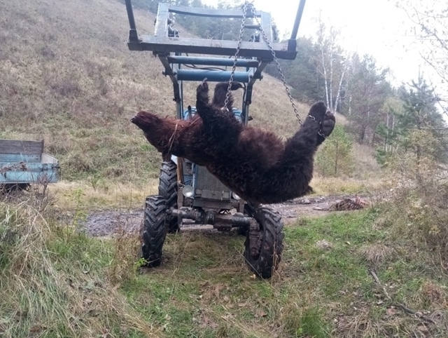Пушкăртстанра улăп-упа тытнă