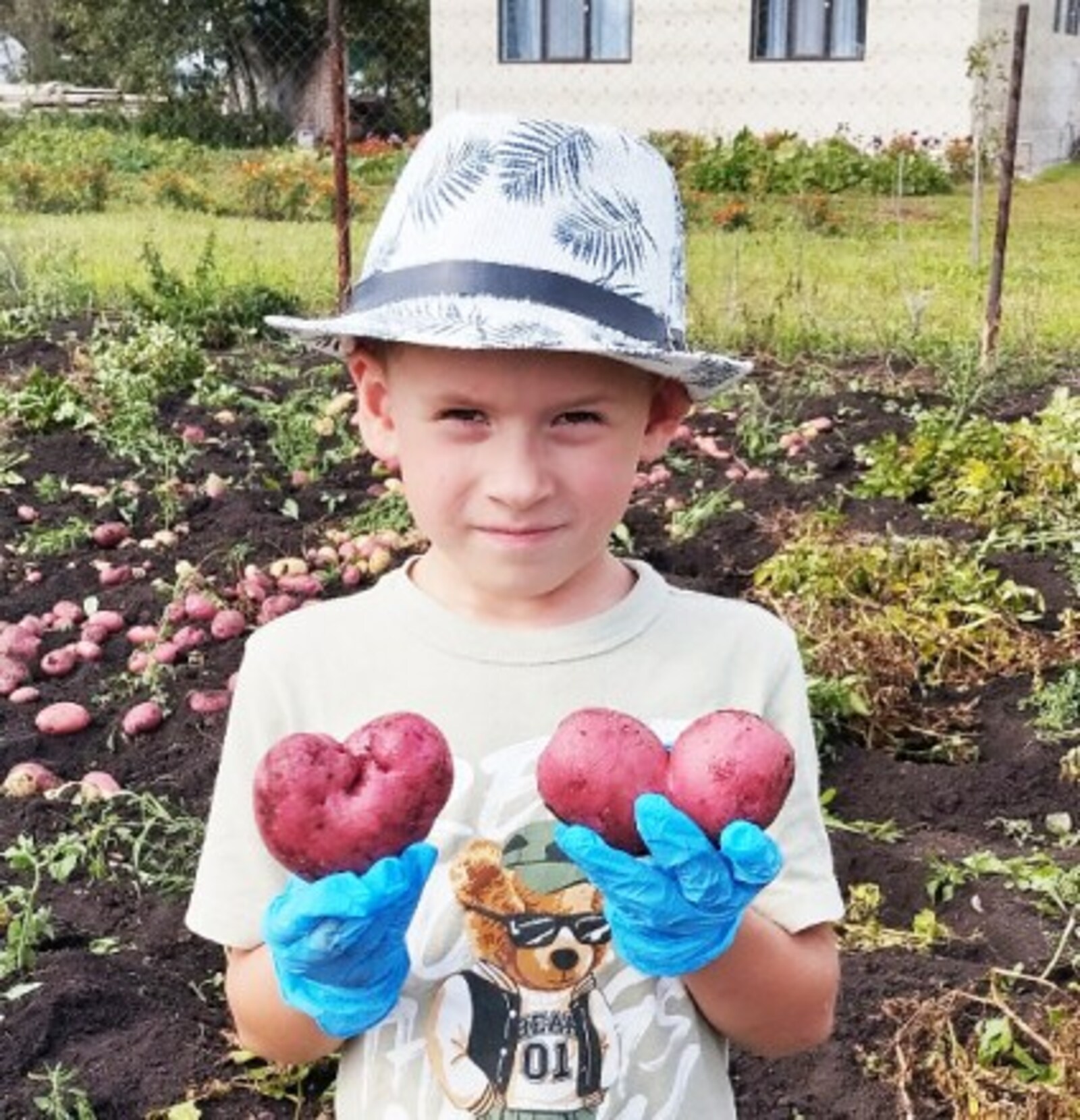 Чĕре евĕр çĕр улми тыткăна илет