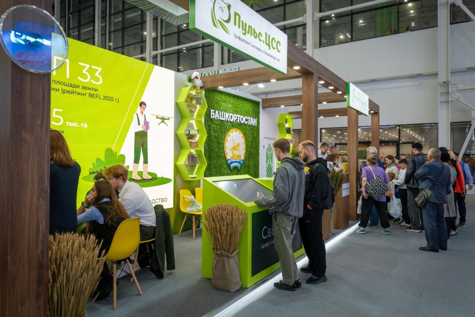 Пушкăртстан «Ылтăн кĕркунне-2025» куравăн Гран-прине тивĕçнĕ