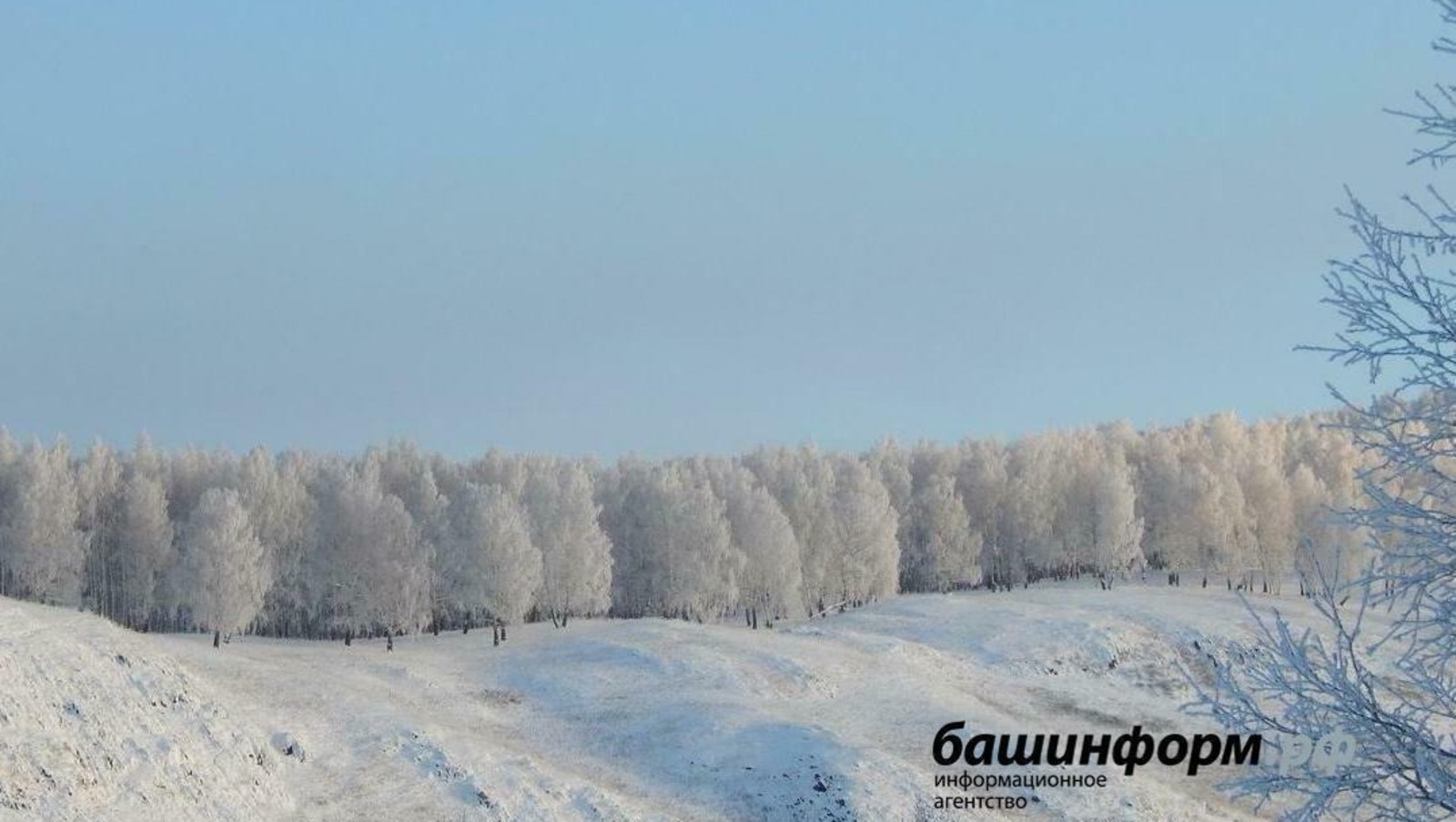Пушкăртстанра хĕллехи вăрмансенче 11 çын çухалса кайнă