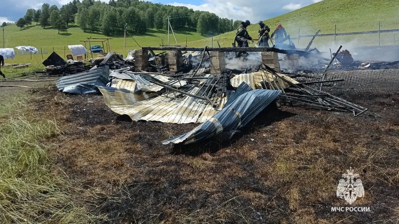 Следстви комитечĕ пушарта вилнĕ виçĕ ача пирки тĕплĕнрех пĕлтернĕ
